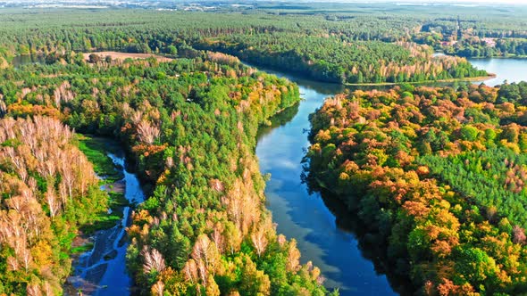 Autumn forest and turning river. Aerial view of wildlife, Poland alt
