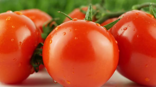 Cherry tomatoes close-up. Rotating on a green background Macro shot. Garden, gardening concept alt