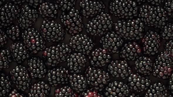 Top View of Fresh Ripe Juicy Blackberries Rotate on Board. Harvest of Berry. Vegan Food Background