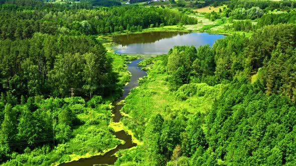 Green forest and blue river in natural park, aerial view alt
