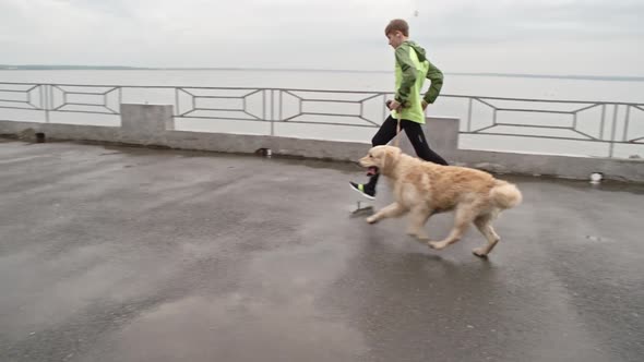 Perfect Running Partners alt