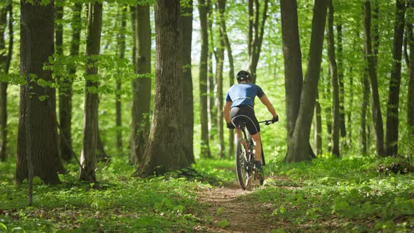 A Man on a Bicycle is Riding Along a Forest Path alt