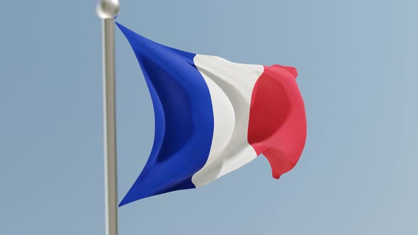 French Flag alt