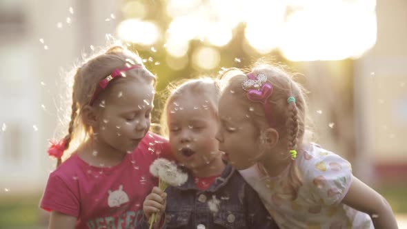 Little Cute Girls with Braids Playing Outside Together