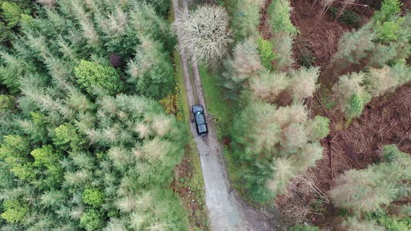 4X4 Pickup Vehicles Driving Through Forest - All Brands Removed alt