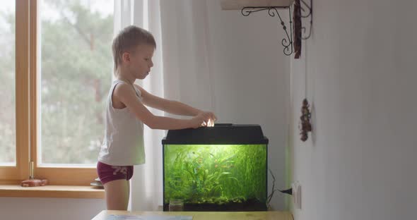 Happy Caucasian Kid Feeding Aquarium Fish in Glass Tank at Stylish Interior