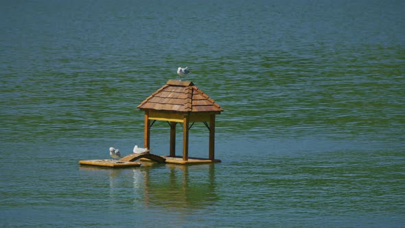 Lake with a floating pavilion alt