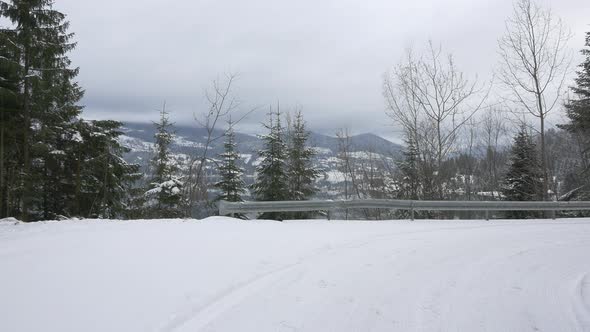 Lake seen through fir trees in Colibita alt