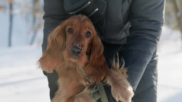 Dog Playing with Woman in Winter Park alt