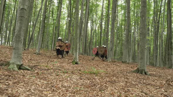 Viking warriors confronting alt