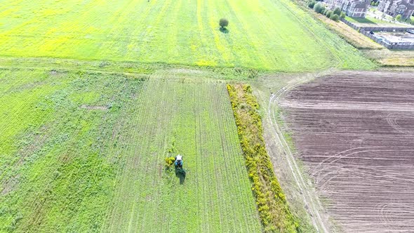 The Tractor Produces the Harvest on The Mustard Field