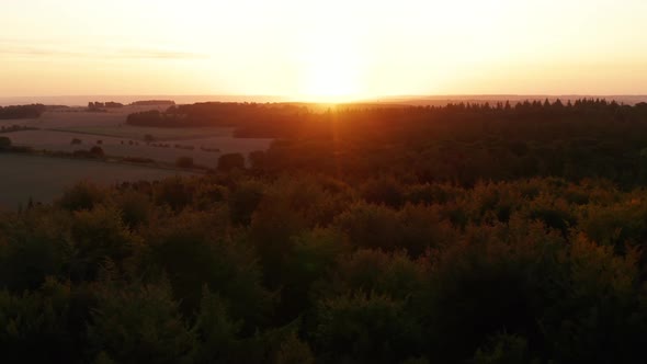 Sunrise over a forest in the English countryside