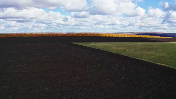 Aerial Photography Agro Field Autumn Harvest Agriculture