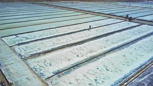 Man Works with Shovel Collecting Salt on Fields alt