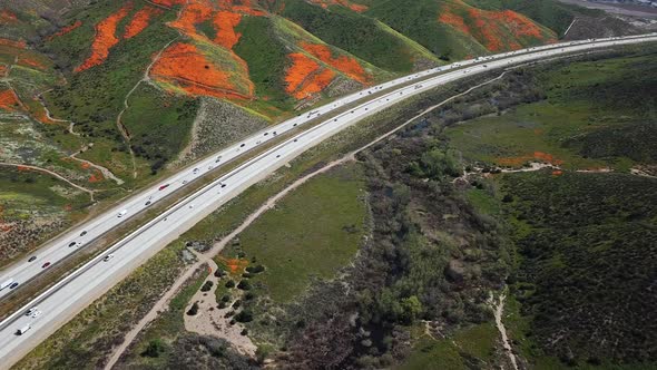 Aerial fly down the I15 freeway viewing the super bloom of golden poppies by Lake Elsinore Californi alt