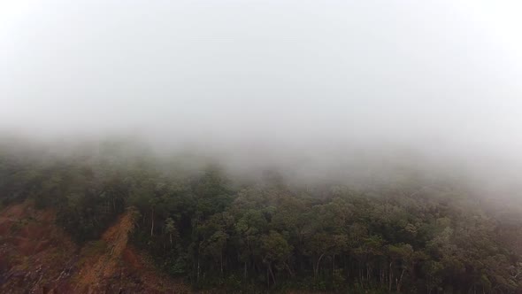 Winding Mountain Road near Misty Rainforest Trees, Drone View. alt