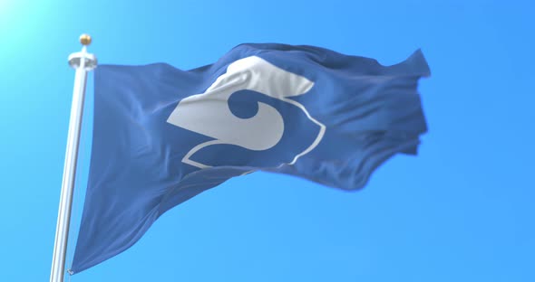 Shizuoka City Flag, Japan alt