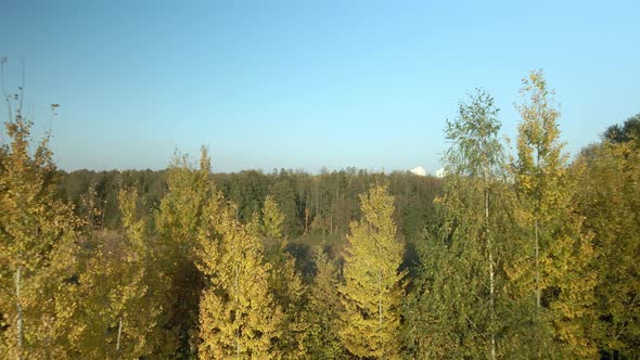 Park area. A winding river. Trees with yellow autumn leaves are visible. Aerial photography. alt