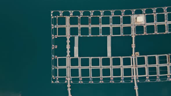 Fish Farm in Sea - Farming Enclosures with Fresh Water Where Trout, Carp or Salmon Is Raised alt