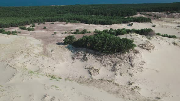 Curonian Spit Efa Dune alt