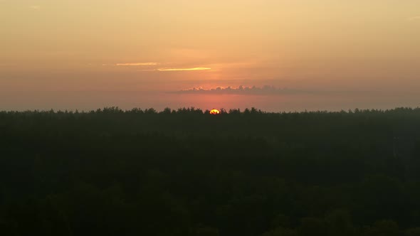 Orange Dawn Over the Forest