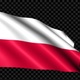 Poland Flag Blowing In The Wind - VideoHive Item for Sale