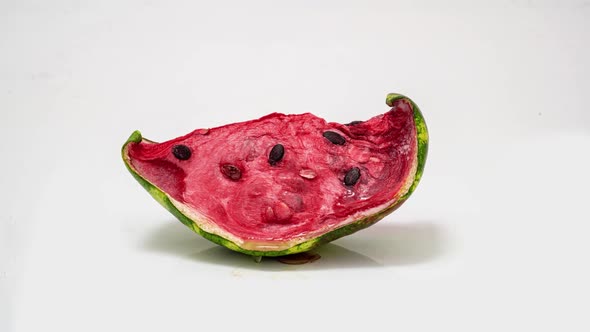 Piece of Ripe Watermelon Rots on White Background Time Lapse Educational Cognitive Video alt