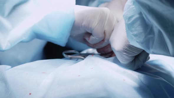 Surgeon's hand performing operation in bloody gloves