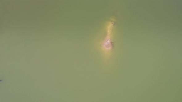 Aerial View of Synevyr Lake in Carpathians Ukraine Europe alt