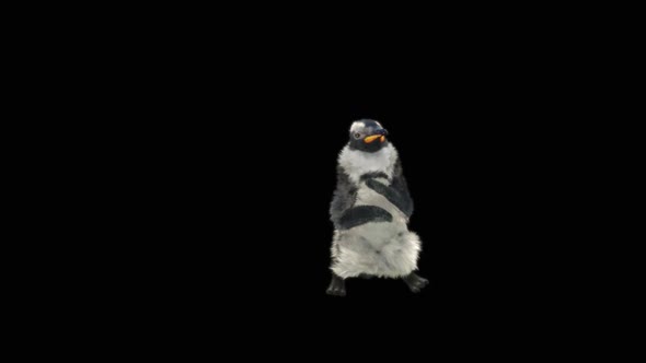 Penguin Dancing HD alt