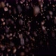 Coffee Grains Jumping Up in Super Slow Motion - VideoHive Item for Sale