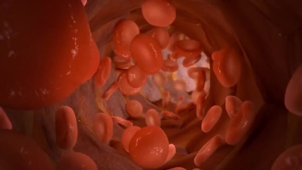 The aorta is the large artery leaving the heart alt