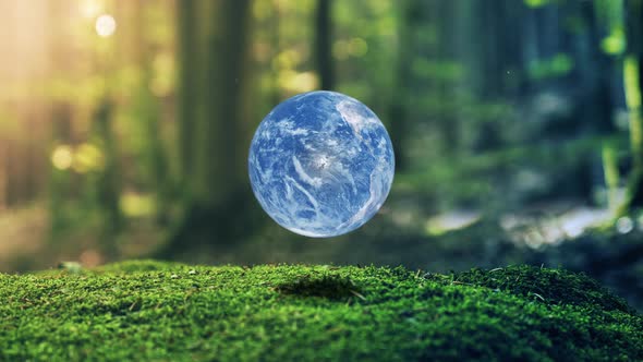 Photo Realistic Earth Design In Moss Forrest Background Motion Graphic Animation