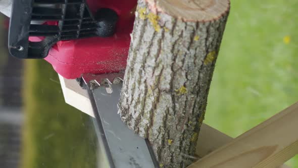 Vertical Shot Close Up Lumberjack Sawing Saw in Motion Sawdust Fly to Sides