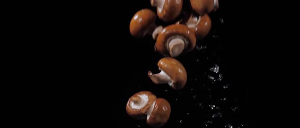 Wet Champignons Spinning with Water Splashes on a Black Background in Slow Motion Shot Water Drops alt