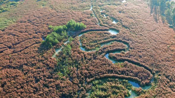 Hazy river and swamps in autumn, aerial view alt