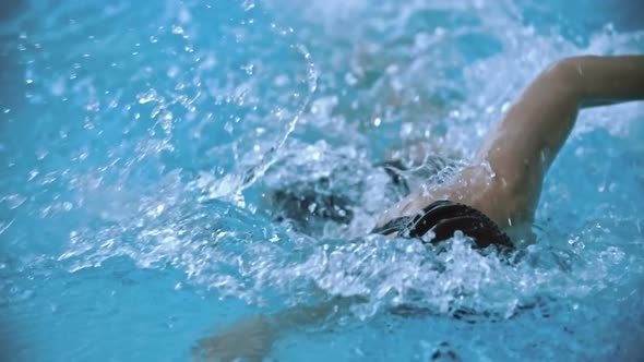 Professional Swimming alt