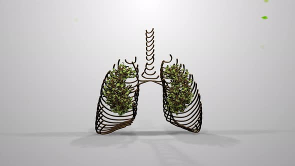 Green Earth Human Lungs Concept