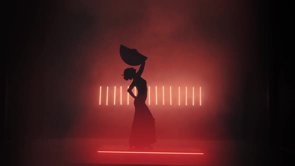 Flamenco Silhouette In Red Smoke