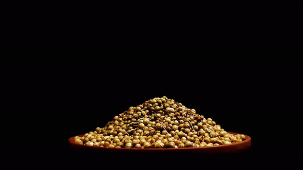 Concept 37-K1 A Pile of Coriander alt