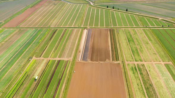 Agricultural Land with Green Crops From Above alt