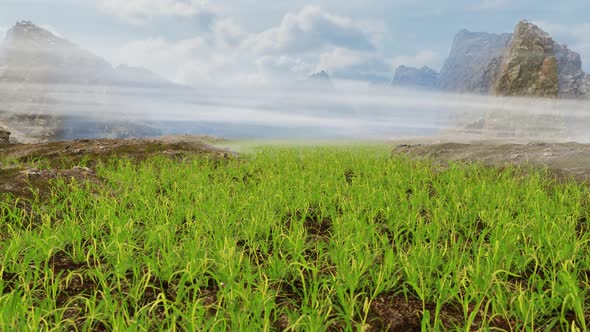 Flying Over The Meadow 04 HD alt