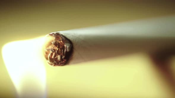 Smoking Tobacco Cigarette Close-up Macro. alt