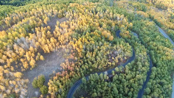 Flying over winding road as cars drive through colorful forest alt