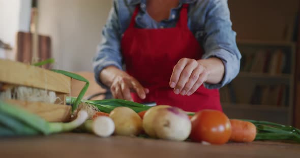 Senior caucasian woman wearing apron and cutting vegetables in kitchen alt