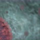 COVID-19 Coronavirus - Video Background Loop - VideoHive Item for Sale
