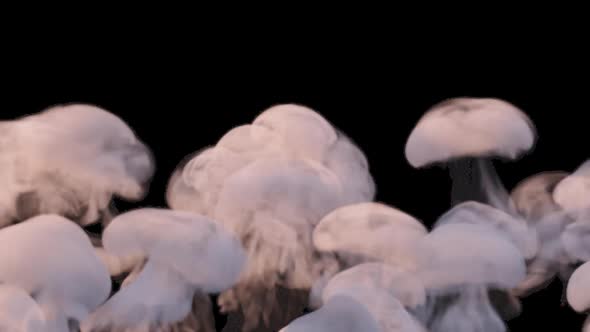 Mushroom Smoke Rising 2 HD