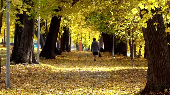 An elderly lady walks in the autumn park. alt