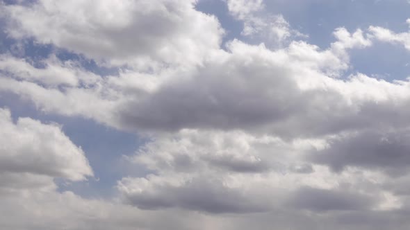 Looking up at big thick white fluffy clouds with a little gray here and there. Blue sky patches.