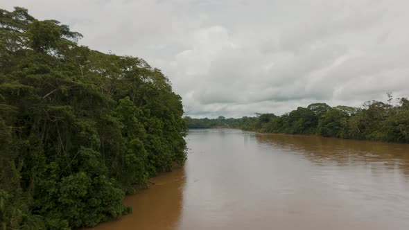 Verdant vegetation growing on bank of mighty Amazon river; aerial alt